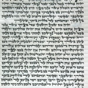 קלף אשכנזי 10