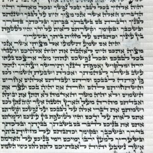 קלף אשכנזי 12